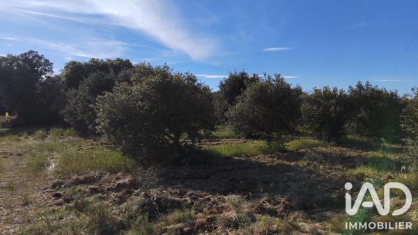 Terrain à vendre 4 300 m² Sérignan-du-Comtat