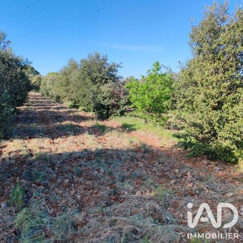 Terrain à vendre 4 300 m² Sérignan-du-Comtat