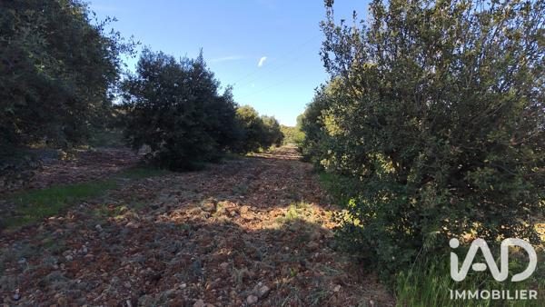 Terrain à vendre 4 300 m² Sérignan-du-Comtat