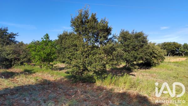 Terrain à vendre 4 300 m² Sérignan-du-Comtat
