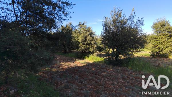 Terrain à vendre 4 300 m² Sérignan-du-Comtat