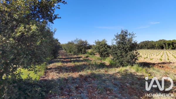 Terrain à vendre 4 300 m² Sérignan-du-Comtat