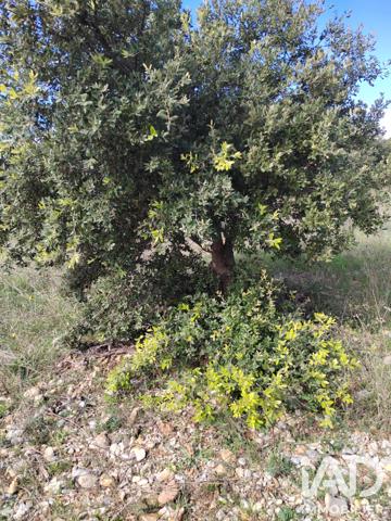 Terrain à vendre 4 300 m² Sérignan-du-Comtat