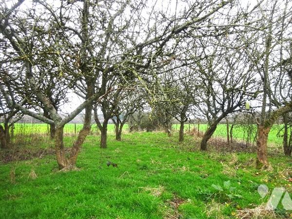 MAISON A RENOVER A VENDRE A BRUNELLES