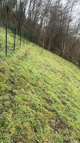 Terrain à bâtir 820 m² à Thann, expo plein sud, permis accordé