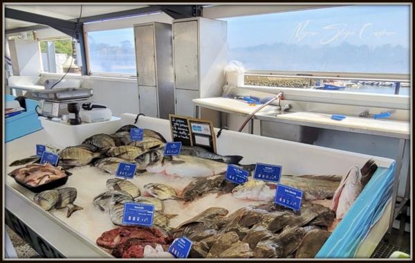 Dpt Landes (40), à vendre CAPBRETON APPARTEMENT 3 PIECES DE 63 M² PROCHE PORT