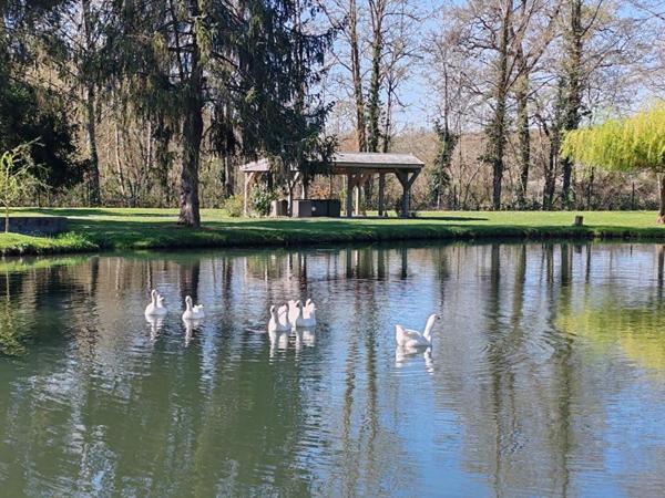 NONANCOURT 27320 Maison individuelle et lodge aménagé, 4 étangs avec bras de rivière, double garage, terrain de plus de 5 Hectares - 540 000  HAI