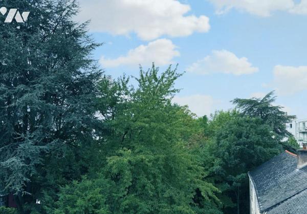 Appartement T3 - 2 chambres - Dernier étage