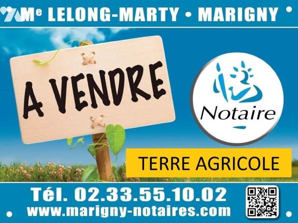Idéal pour investisseur, vente de terres agricoles louées