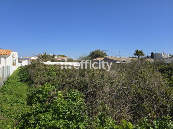 Terrain
        
        - 1394 m²