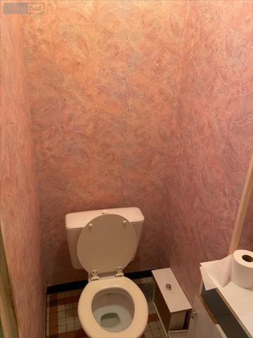 Maison individuelle à vendre à Andilly en Charente-Maritime (17230), ref : DU 473