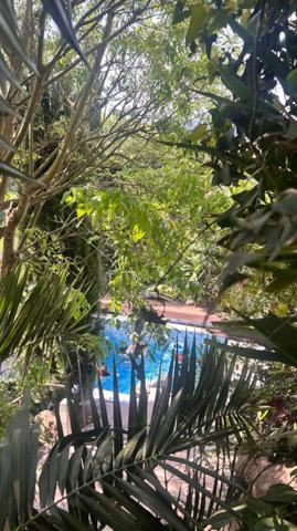 Maison Auribeau Sur Siagne 6 pièce(s) 180 m2