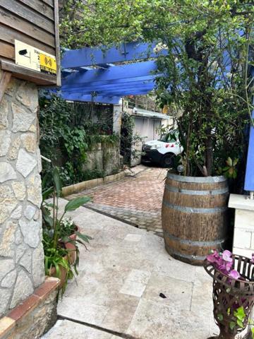 Maison Auribeau Sur Siagne 6 pièce(s) 180 m2