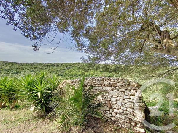 Maison à vendre  9 pièces - 273,63 m2 BONIFACIO - 201