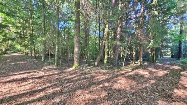Terrain de loisir boisé 2.3Ha + Source - Proche Limoges