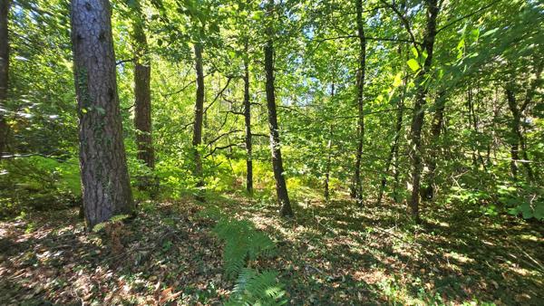 Terrain de loisir boisé 2.3Ha + Source - Proche Limoges