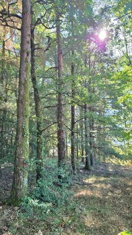 Terrain de loisir boisé 2.3Ha + Source - Proche Limoges