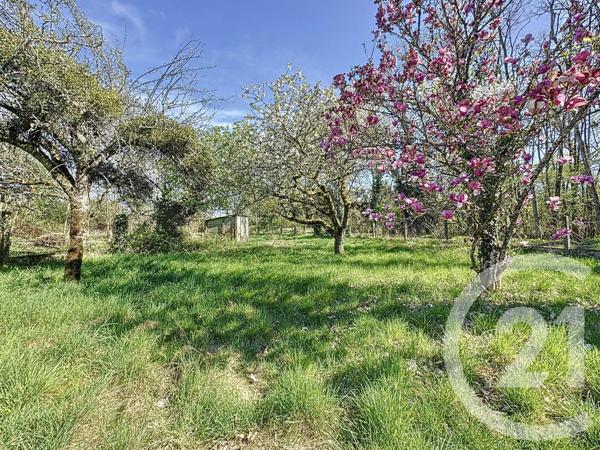 Maison à vendre  5 pièces - 59,38 m2 PRUNIERS EN SOLOGNE - 41