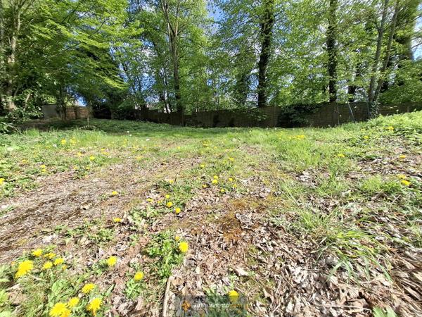 Coulommiers (77120) TERRAIN 960 M COULOMMIERS PROCHE CENTRE VILLE