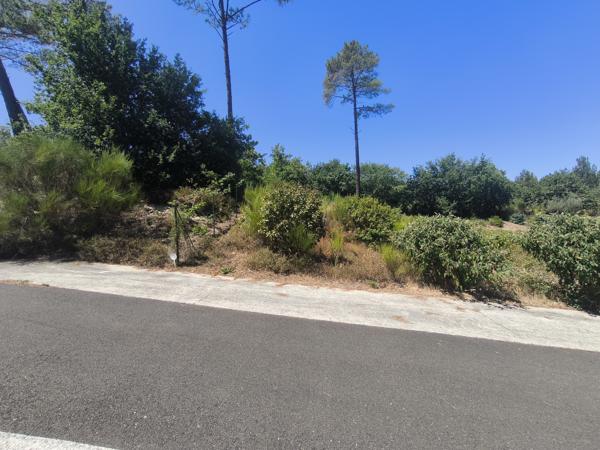 Terrain à vendre à Biscarrosse (40600) - Landes
