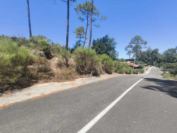 Terrain à vendre à Biscarrosse (40600) - Landes