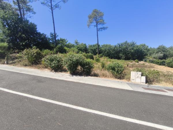 Terrain à vendre à Biscarrosse (40600) - Landes