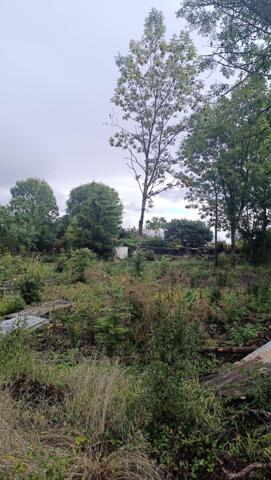 Vente / Terrain constructible