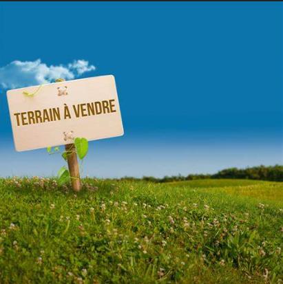 Terrain - 1780 m² Exclusivité efficity
