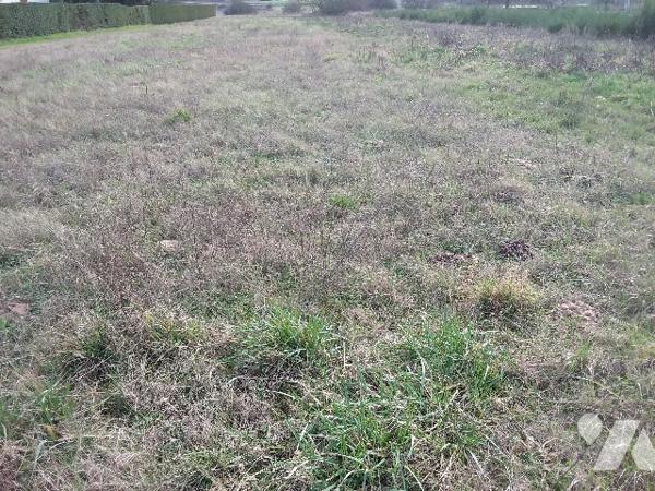 ENTRE CONTRES ET SELLES, PROCHE CHEMERY