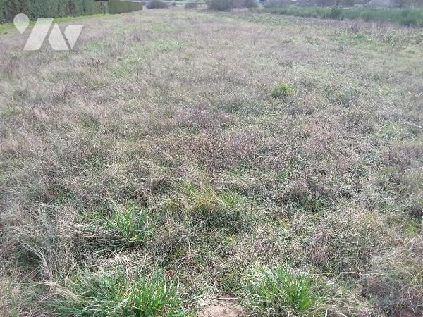 ENTRE CONTRES ET SELLES, PROCHE CHEMERY