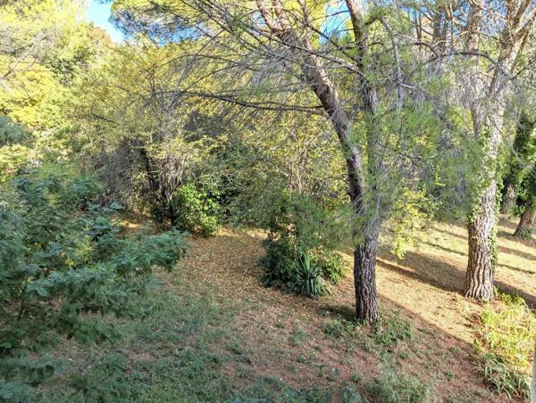 En plein centre de Lodève, profitez d’un cadre paisible au milieu d’un écrin de verdure.