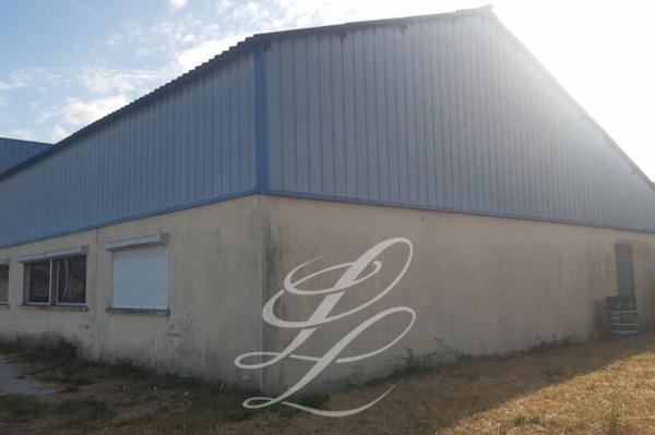 Location - LOCAL D'ACTIVITE 250 m 2
