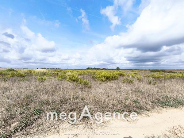 Terrain à VILLENEUVE-LES-BEZIERS, 34420 - 2620m²
