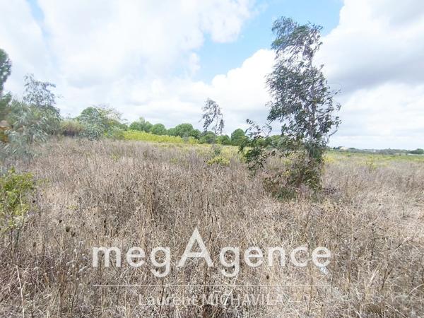 Terrain à VILLENEUVE-LES-BEZIERS, 34420 - 2620m²