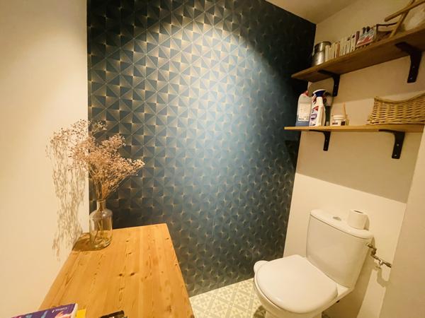 Neuville-de-Poitou (86170) MAISON DE CHARME