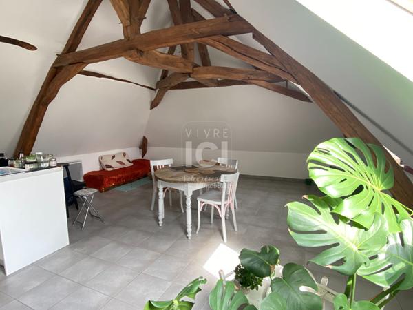 Appartement Moze-sur-louet 3 pièce(s) 49,41 m2