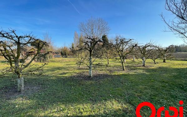 Terrain à vendre    Colmar