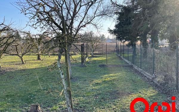 Terrain à vendre    Colmar