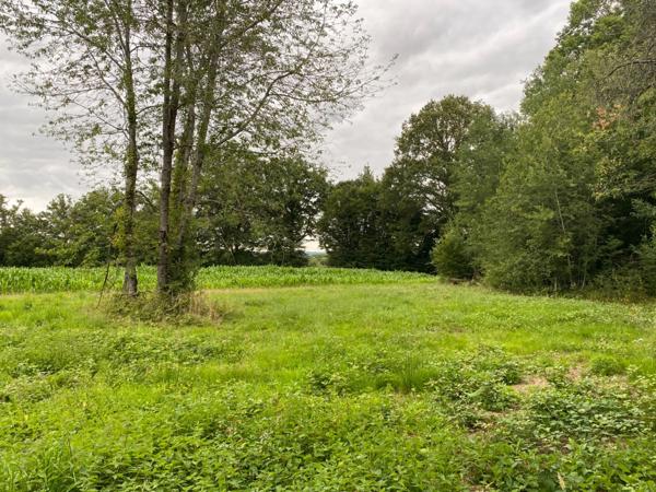 EN EXCLUSIVITE ! Ancien corps de ferme de 200m² à restaurer sur plus de 3,2 hectares de terrain 76 000 €
