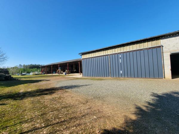 Ensemble avec 1280 m² de hangars sur 3 ha – fort potentiel professionnel