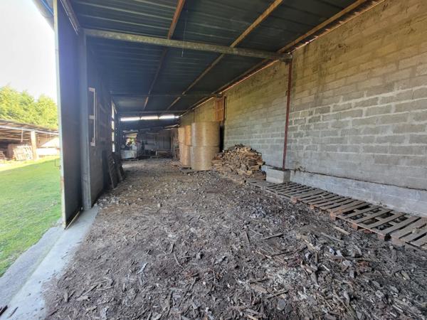 Ensemble avec 1280 m² de hangars sur 3 ha – fort potentiel professionnel