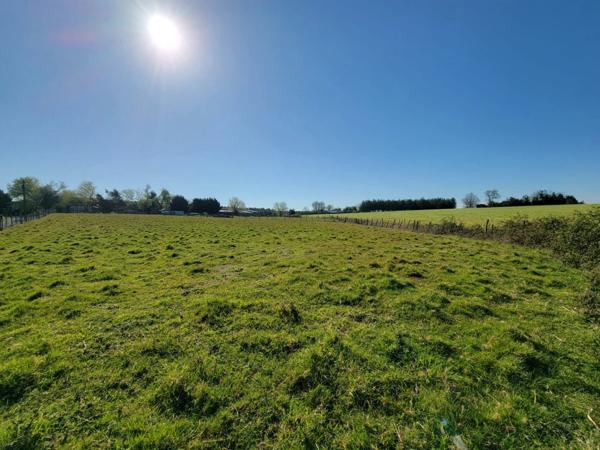 Ensemble avec 1280 m² de hangars sur 3 ha – fort potentiel professionnel