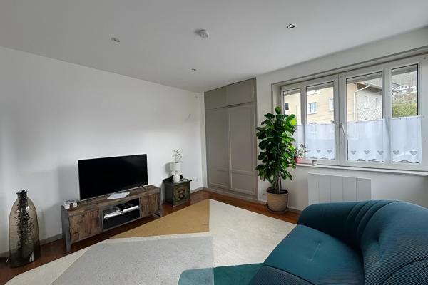 Charmant appartement rénové & son studio atypique