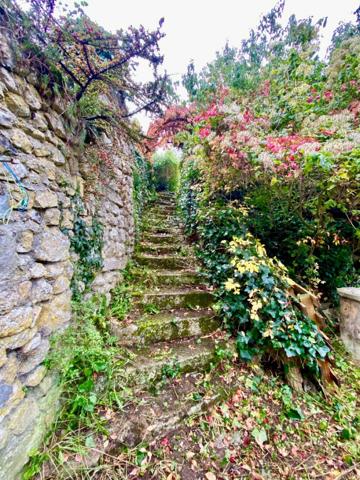 Maison rénovée et écononome avec jardin