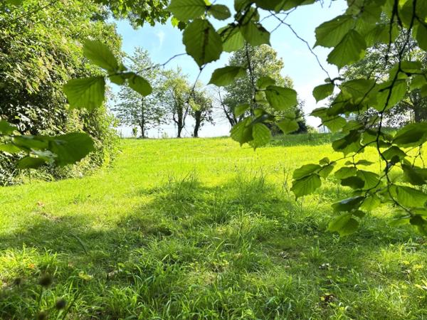 Vente Terrain 3270 m2 à Châlons-en-Champagne