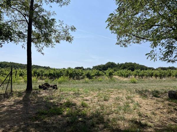 Maison à vendre |  Louzac-Saint-André |  2 pièces