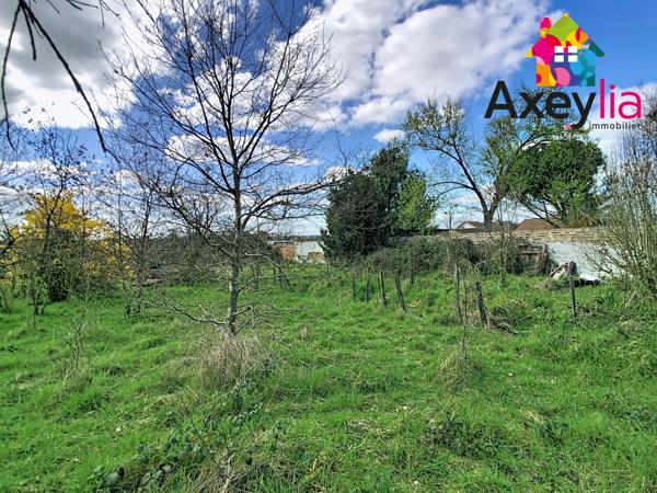 Vindecy (71110) A VENDRE - VINDECY - MAISON DE BOURG AVEC DEPENDANCES ET TERRAIN