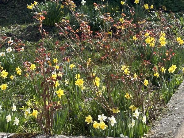 Maison de ville de 101 m²