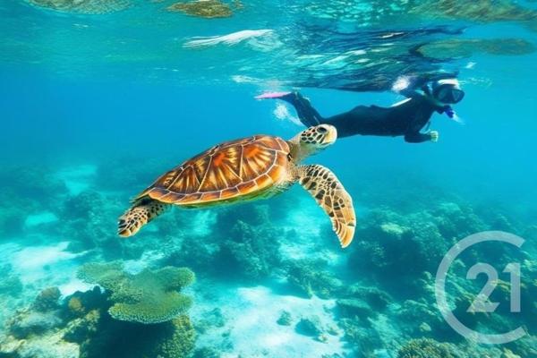 Maison à vendre  4 pièces - 90 m2 ST PAUL - 974