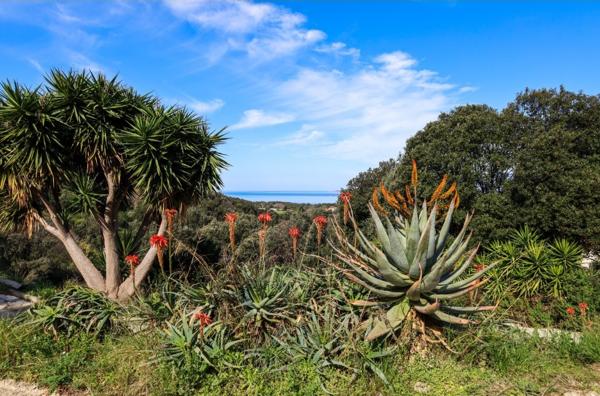 Calcatoggio (20111) Villa 270 m² sur 2 927 m² de terrain à Calcatoggio